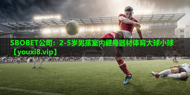 SBOBET公司：2-5岁男孩室内健身器材体育大球小球