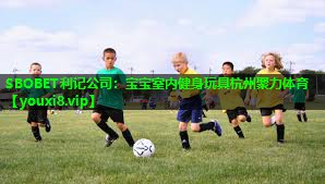 SBOBET利记公司：宝宝室内健身玩具杭州聚力体育
