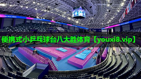便携式小乒乓球台八大胜体育