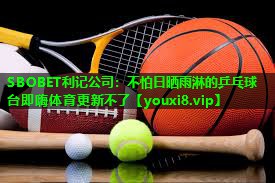 SBOBET利记公司：不怕日晒雨淋的乒乓球台即嗨体育更新不了