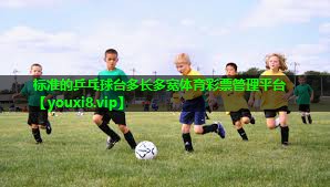标准的乒乓球台多长多宽体育彩票管理平台