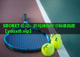 SBOBET公司：乒乓球台尺寸标准高度